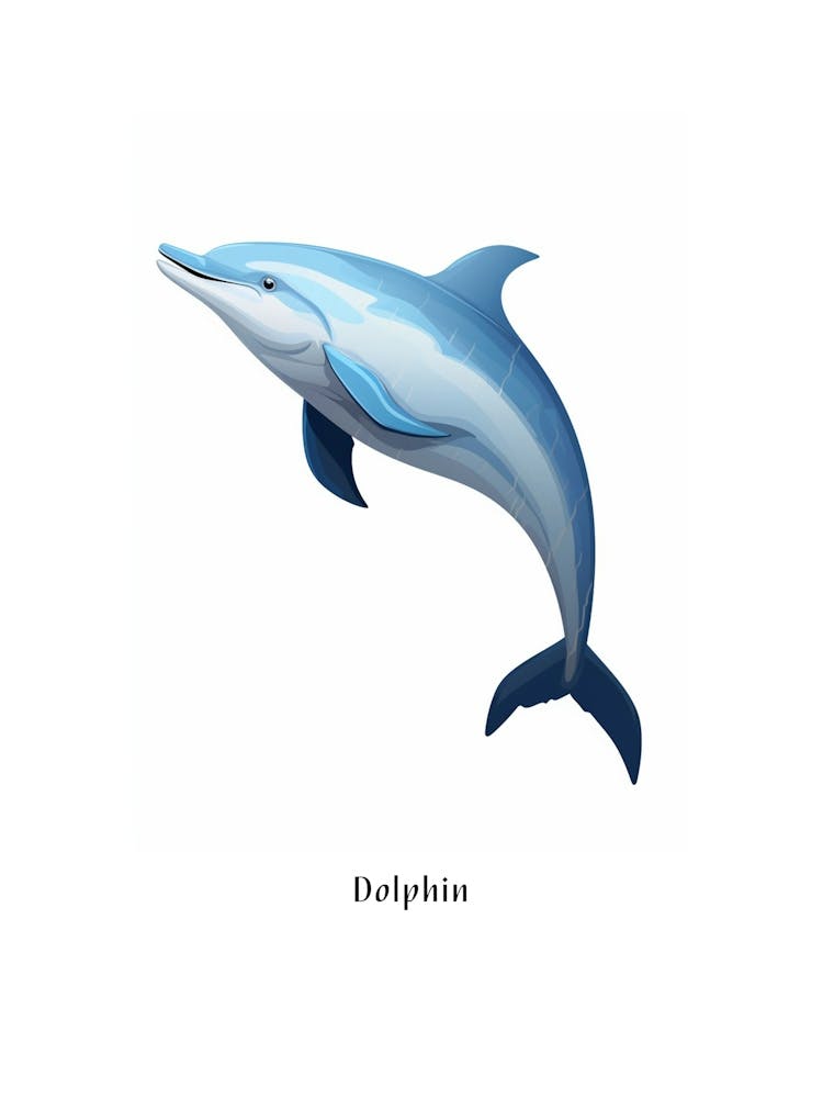 Dolphin Kids Animal Poster