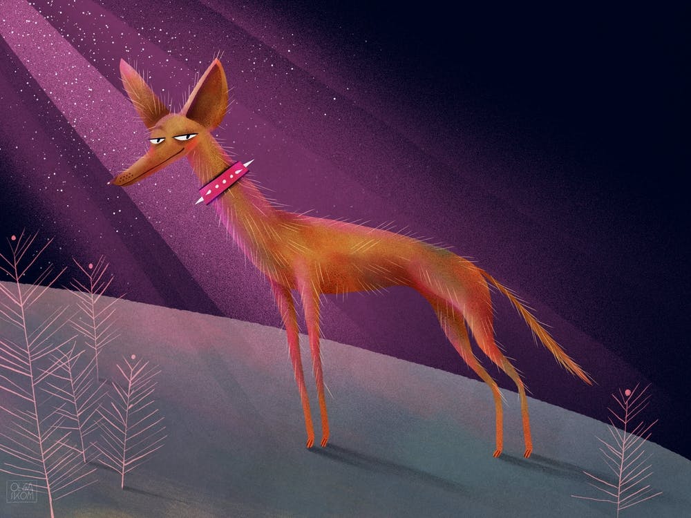 Naughty dog in the purple light