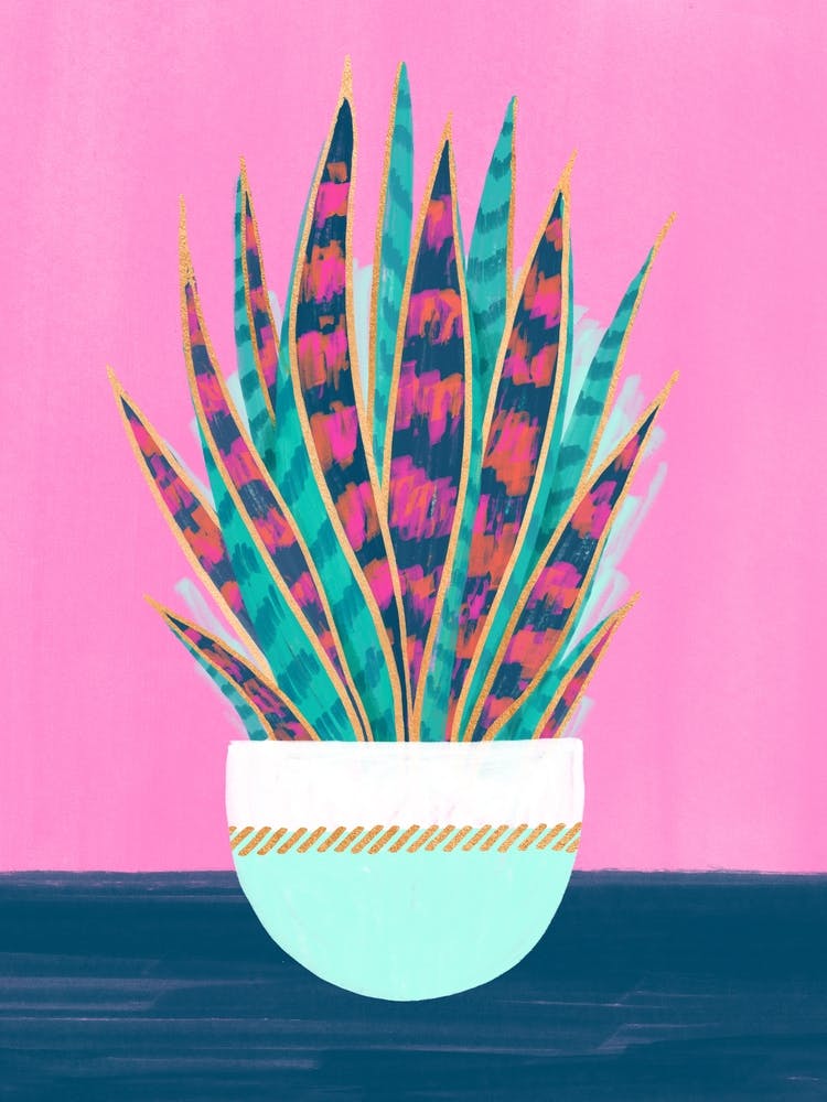 painted snake plant Painted Snake Plant Art Print by Jess Phoenix – Fy!