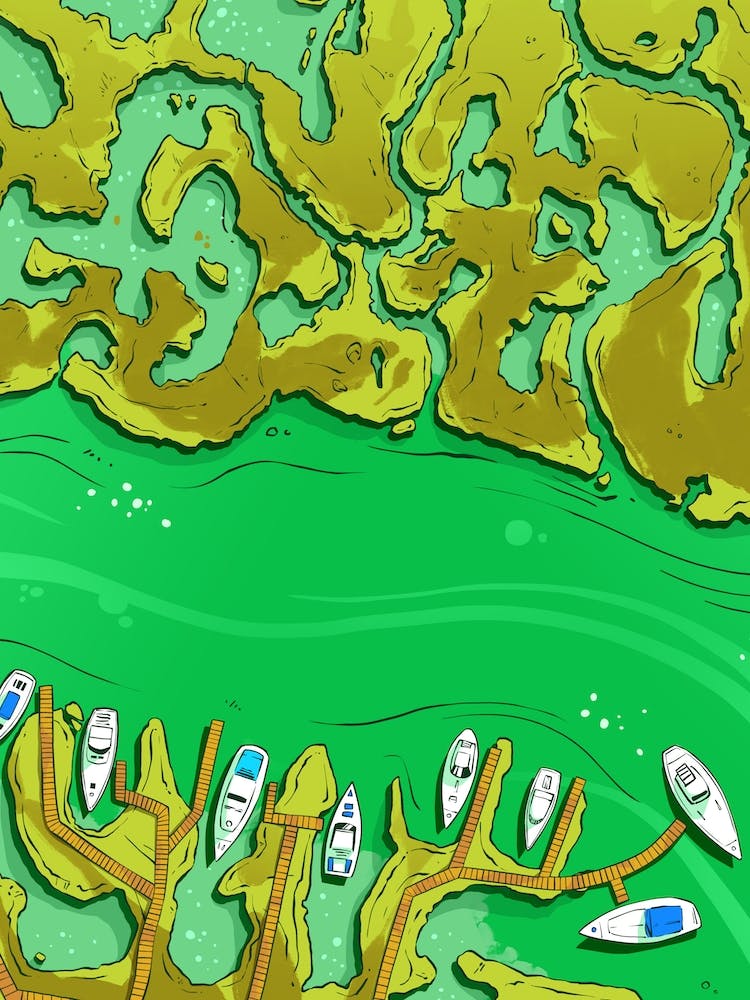 Saltmarsh