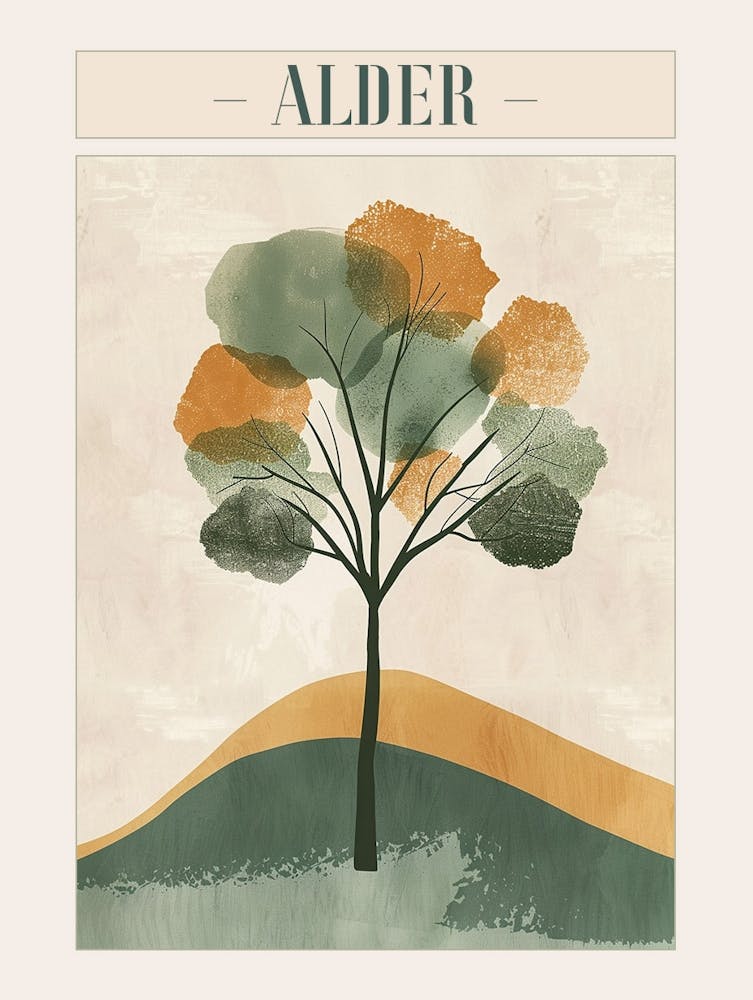 Alder Tree Minimal Japandi Illustration 3 Poster