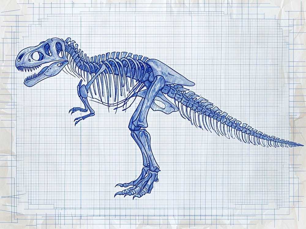 Giganotosaurus Dinosaur Skeleton Blueprint 2