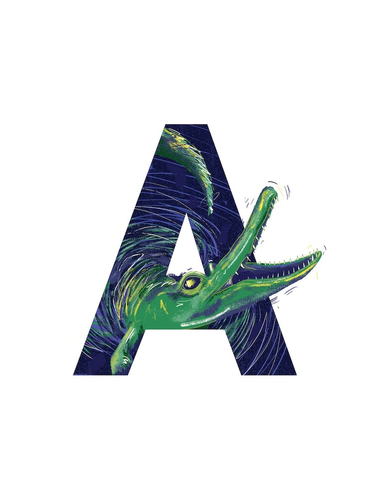 A Is For Alligator 