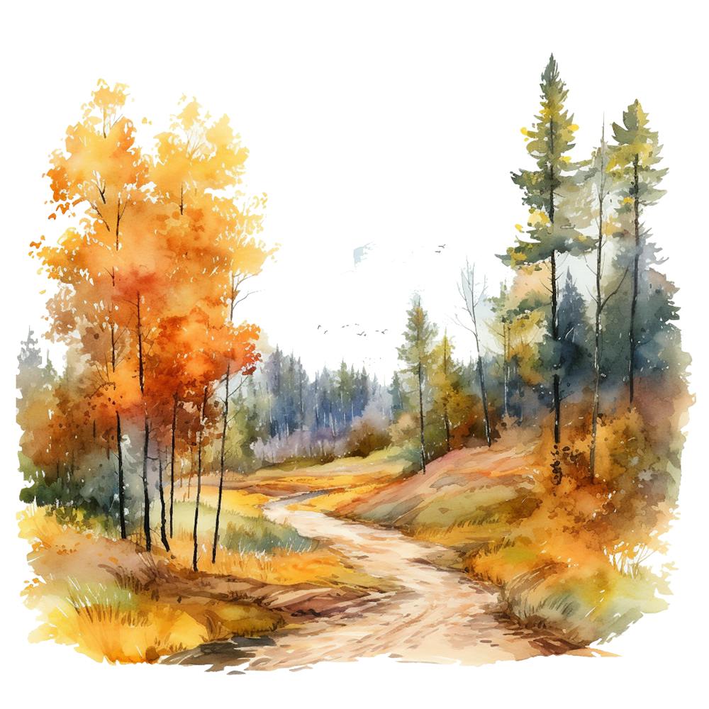 Route Forestière d'Automne à l'Aquarelle 1