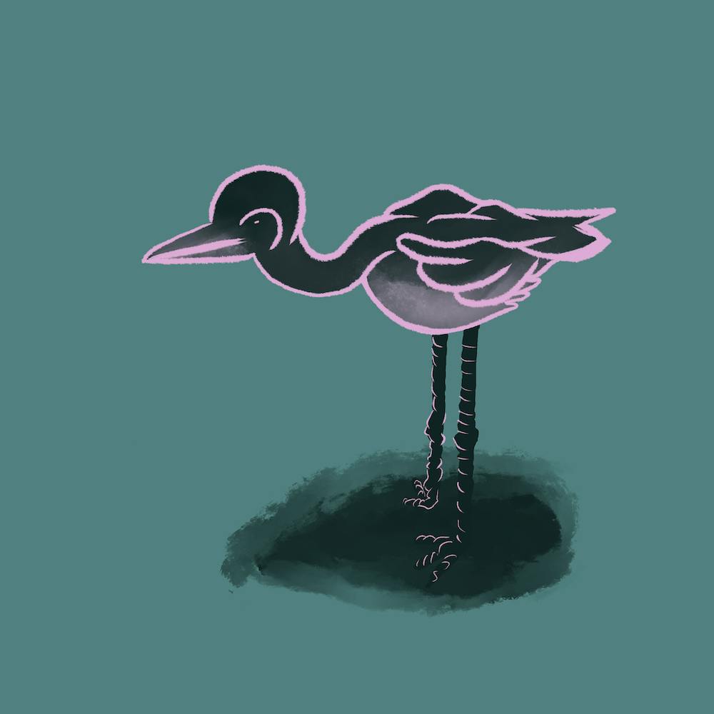 Dramatic Flamingo