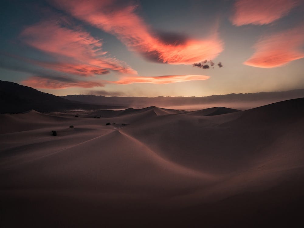 Mania Landscapes Raw 13 Mesquite (USA)