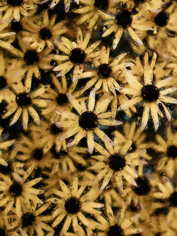 Black Eyed Susan Flowers Oil Painting