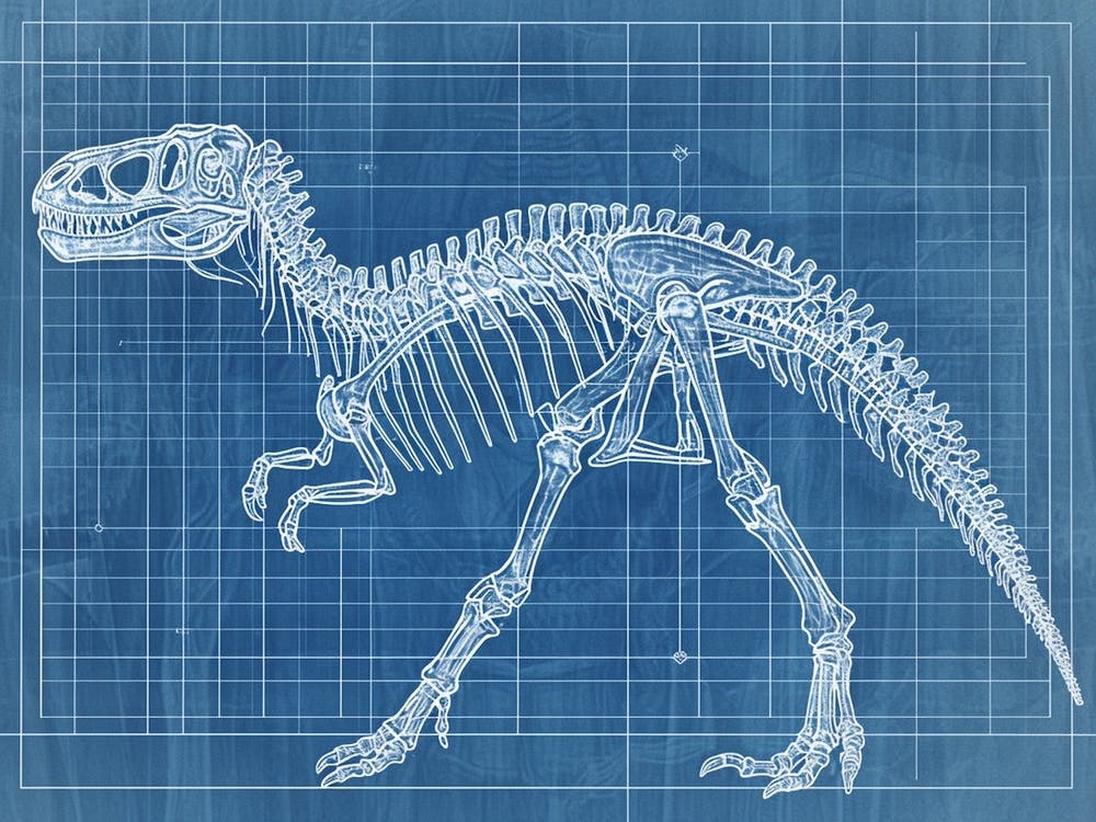 Carnotaurus Skeleton Hand Drawn Blueprint 1
