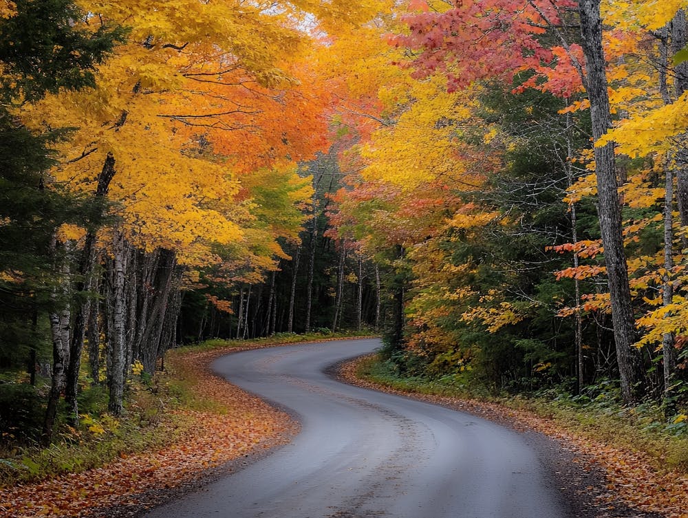 Autumn Road 2