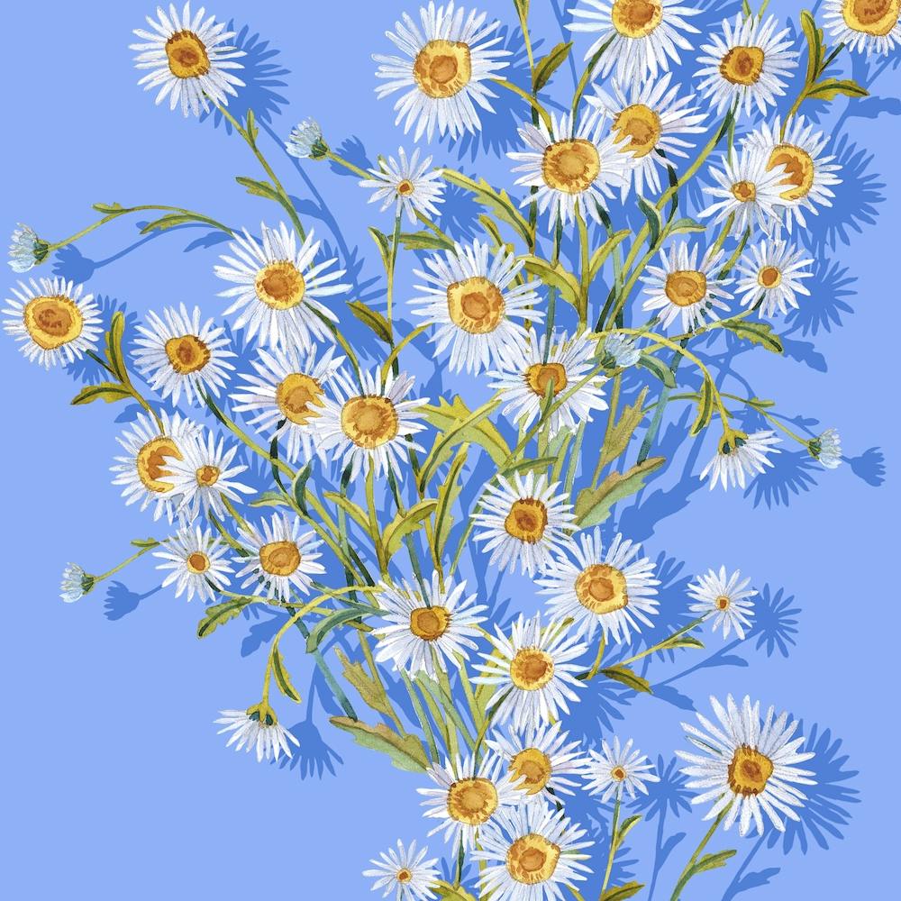 Sunny Camomiles Square