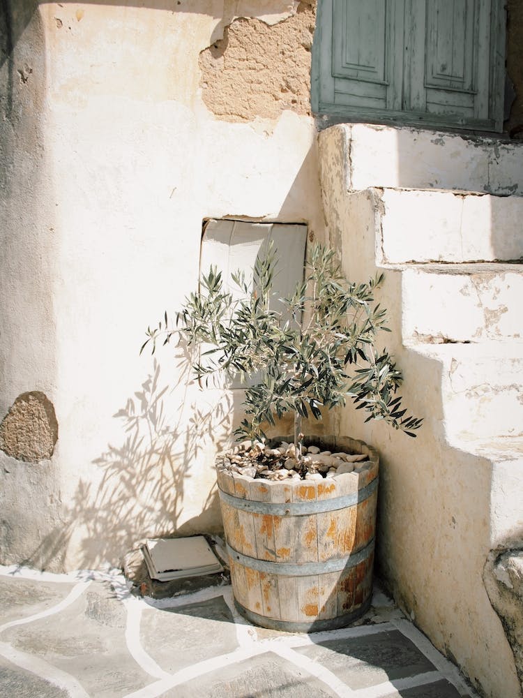 Puglia Village