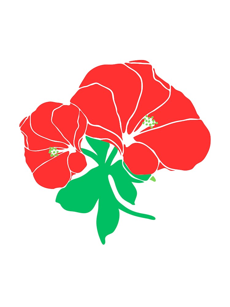 Red Hibiscus Flower 1