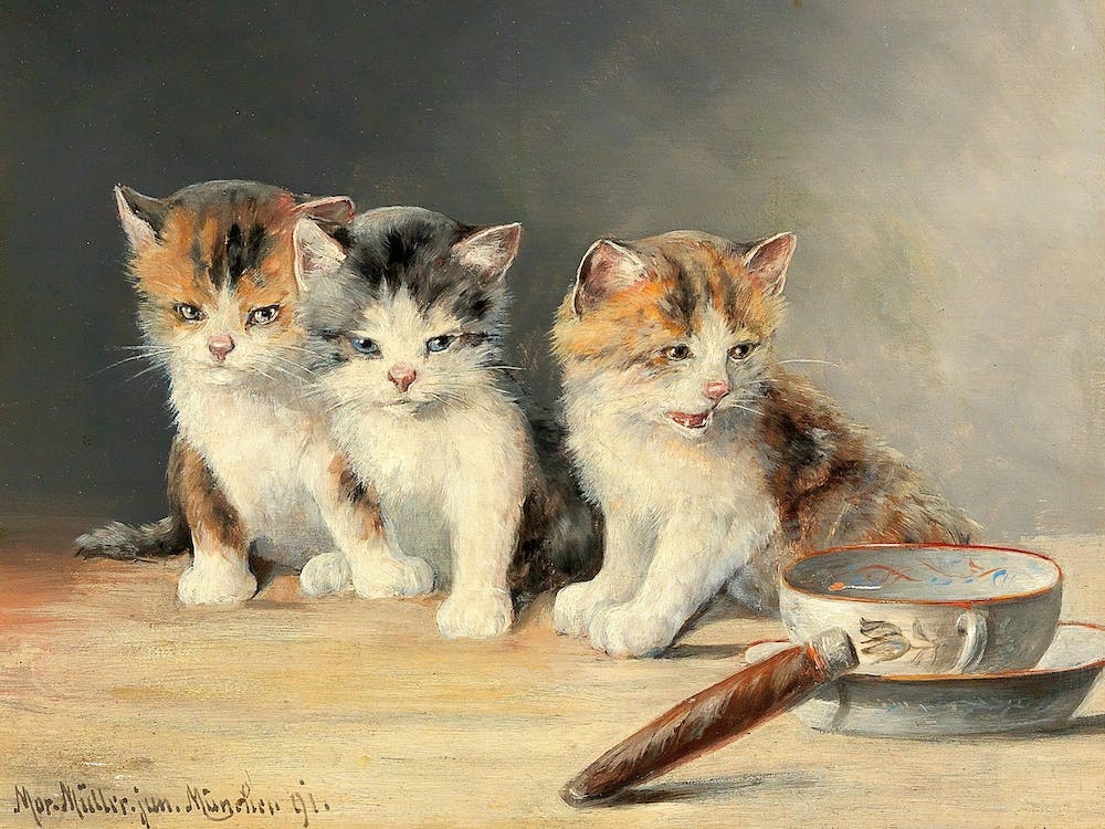 Three Kittens, Moritz Müller