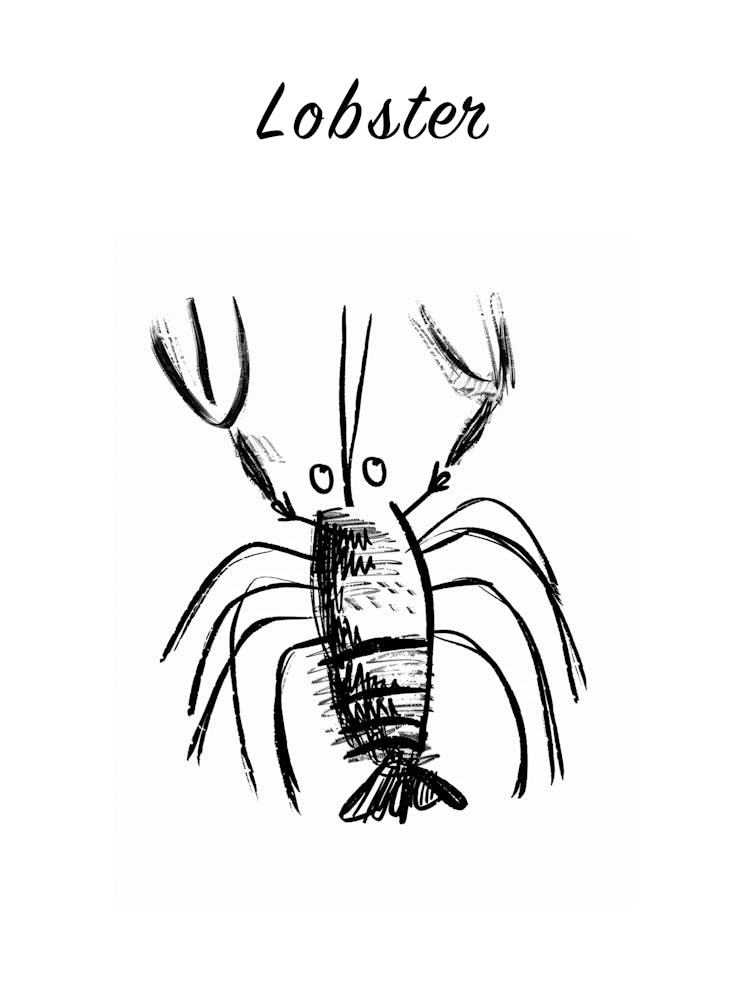 B&W Lobster Poster