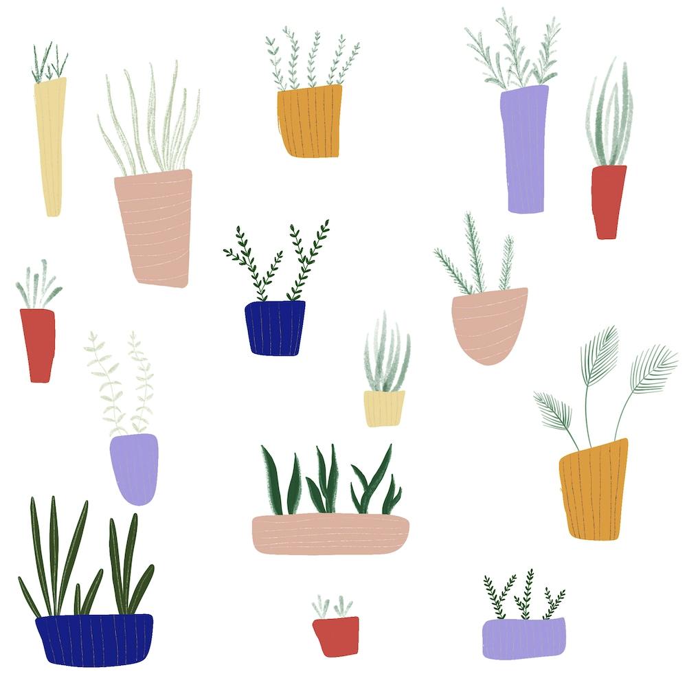 Potted Plants Square