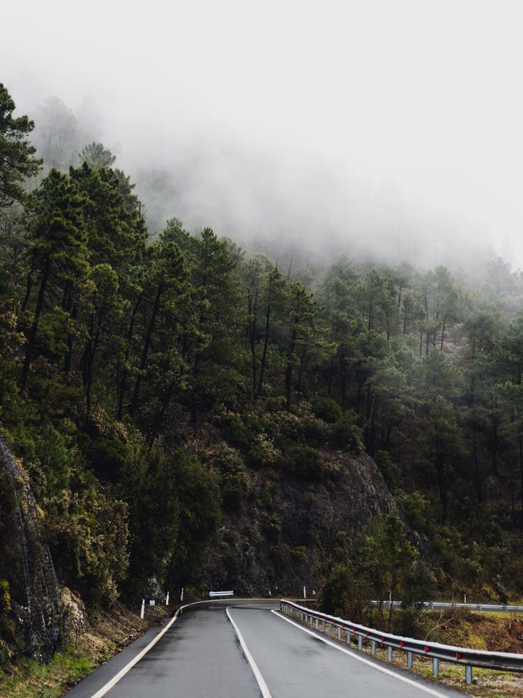 Misty Road in the Italian mountains