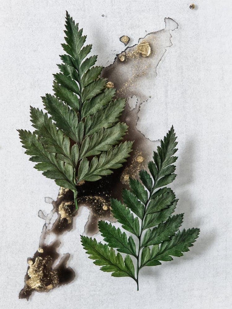 Ferns On Black On Gold