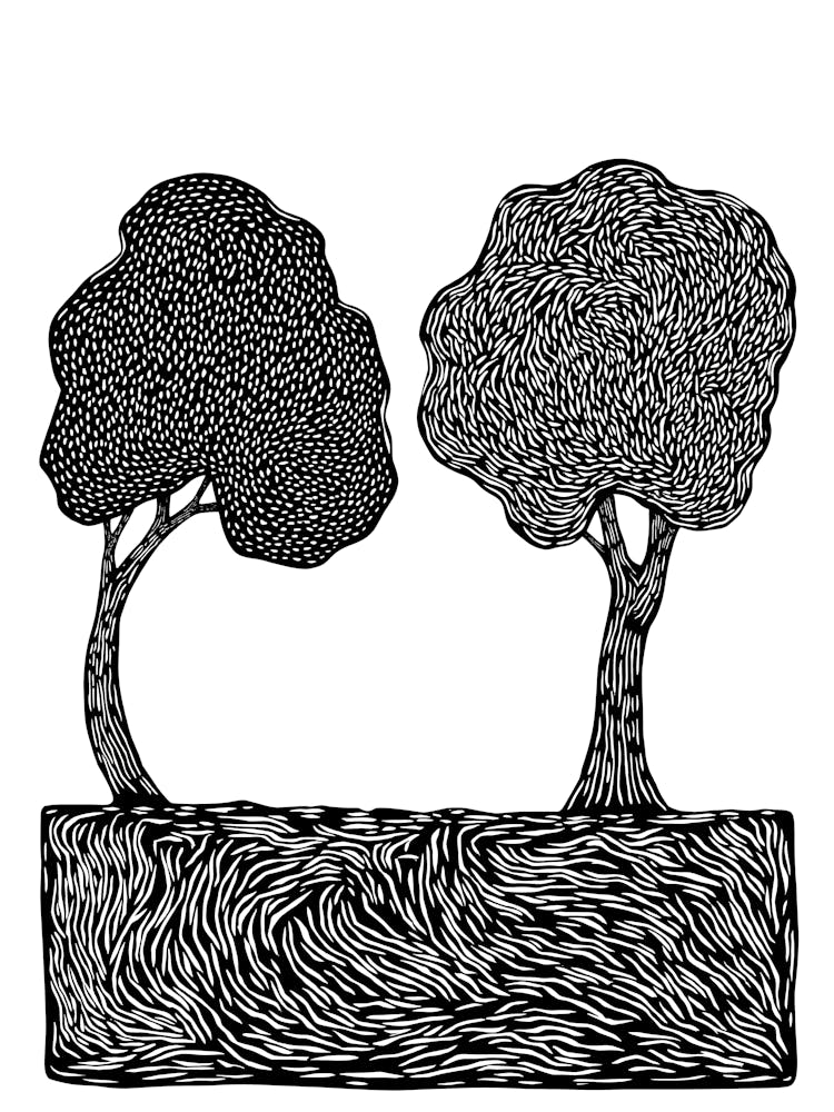 Two Trees In The Woods