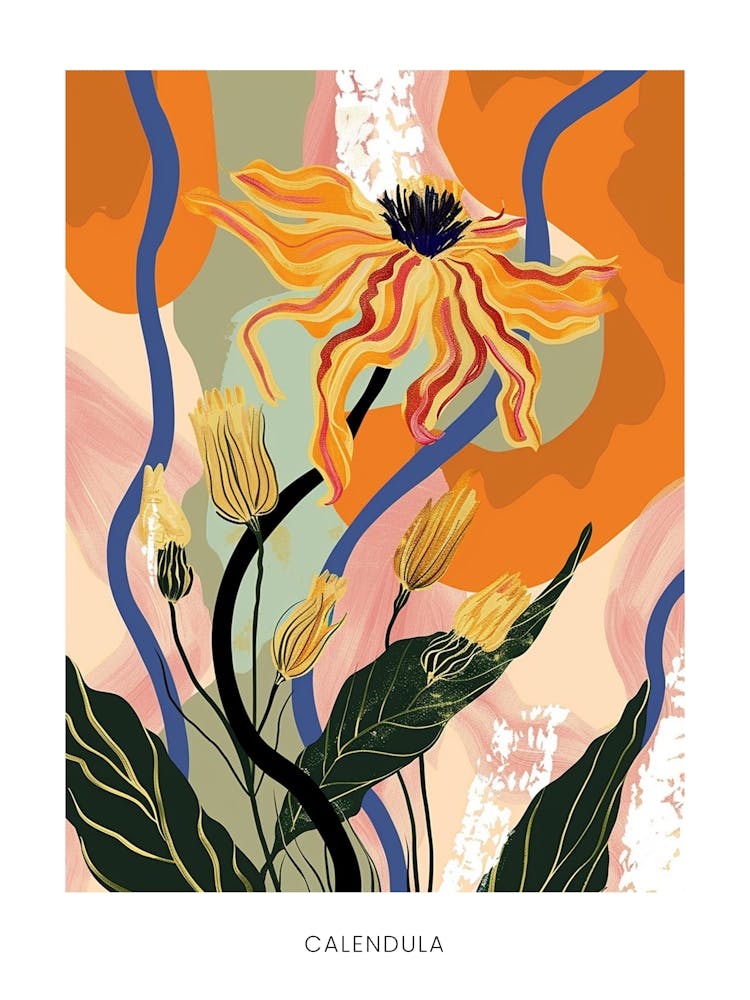 Colourful Flower Illustration Poster Calendula 3
