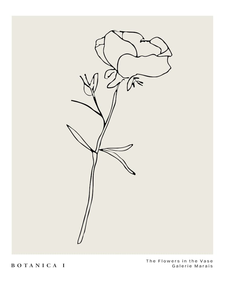 Botanica line no 14