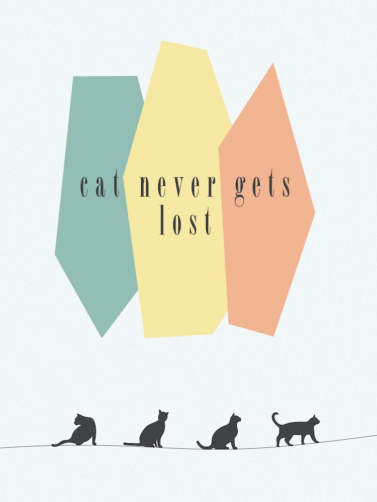 Cat Never Gets Lost