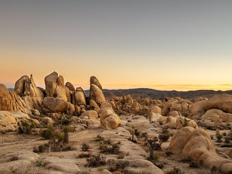 Yellow Desert Sunset