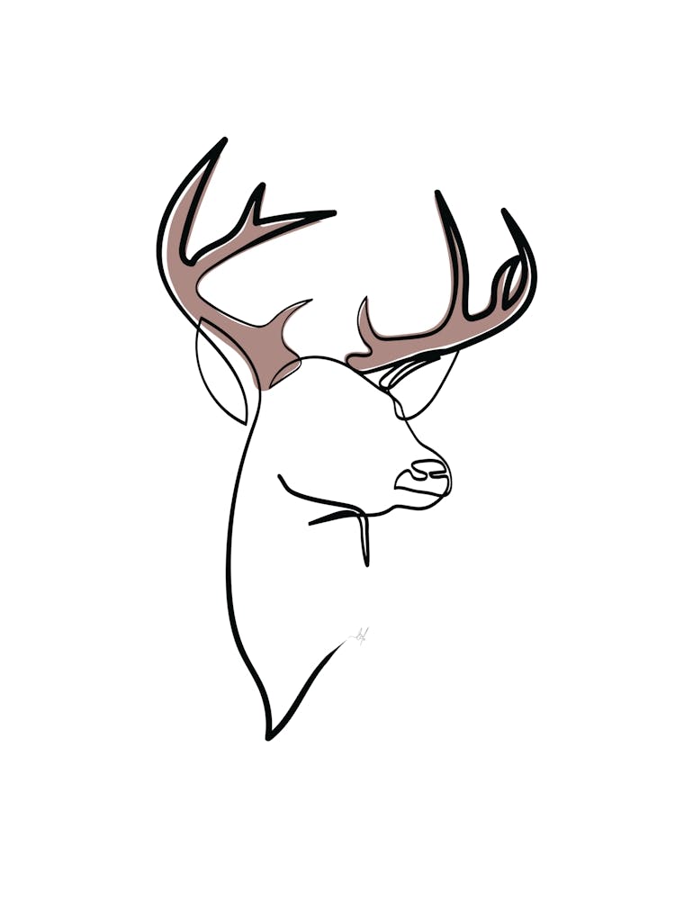 RainDeer
