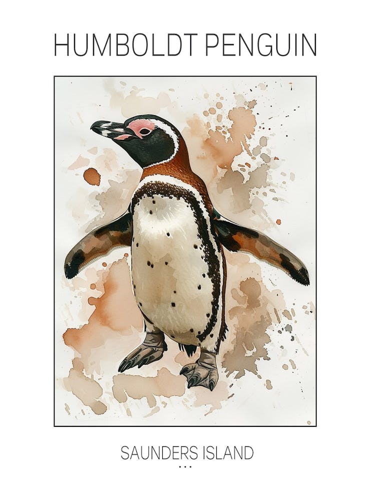 Humboldt Penguin Saunders Island Watercolour Painting 3 Poster