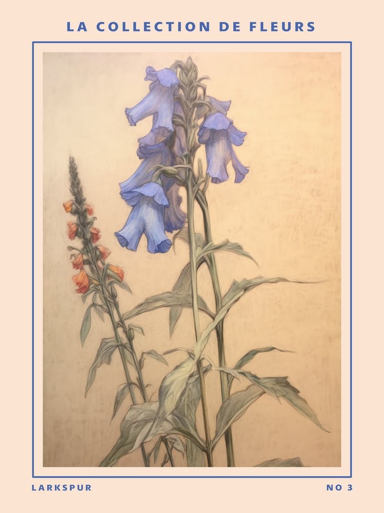 Larkspur 3 French Flower Botanical Poster