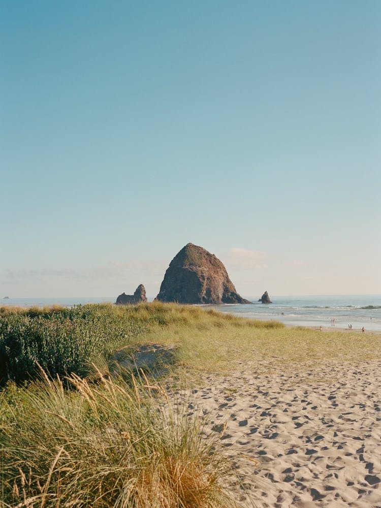 Cannon Beach II on Film