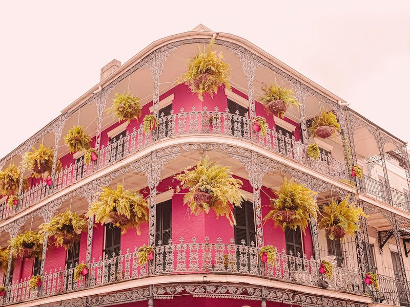 Nola Architecture