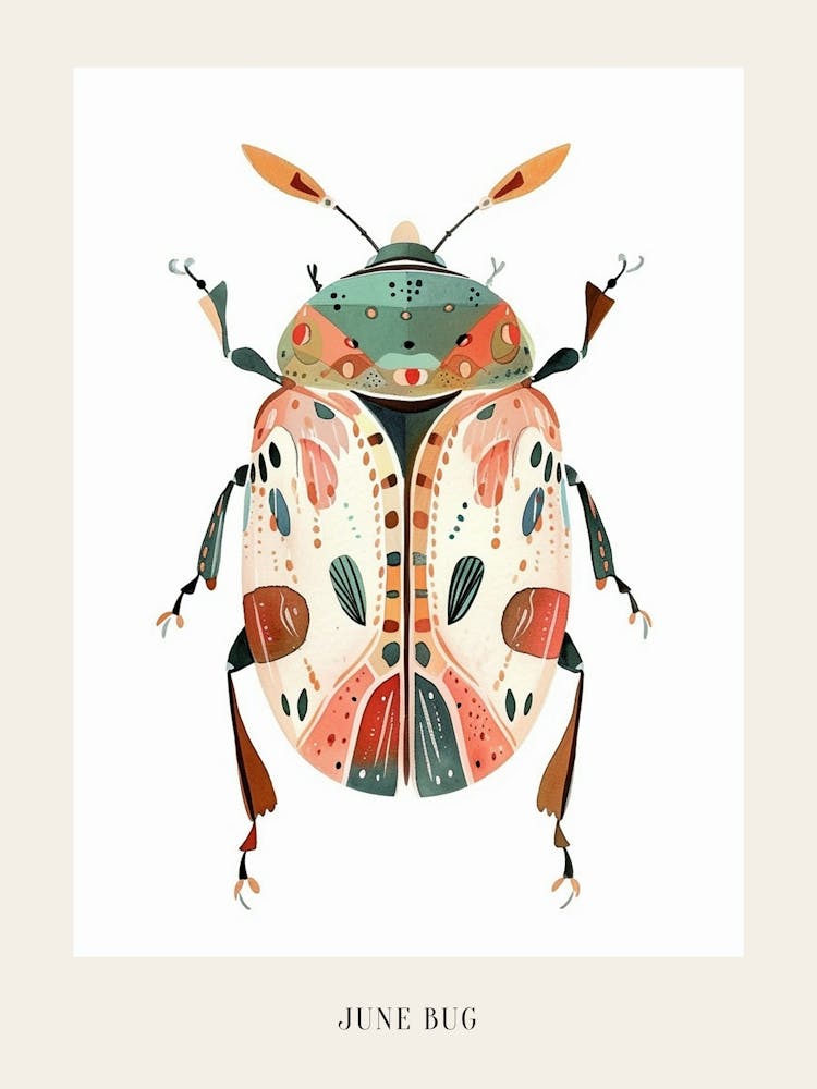 Colourful Insect Illustration June Bug 4 Poster