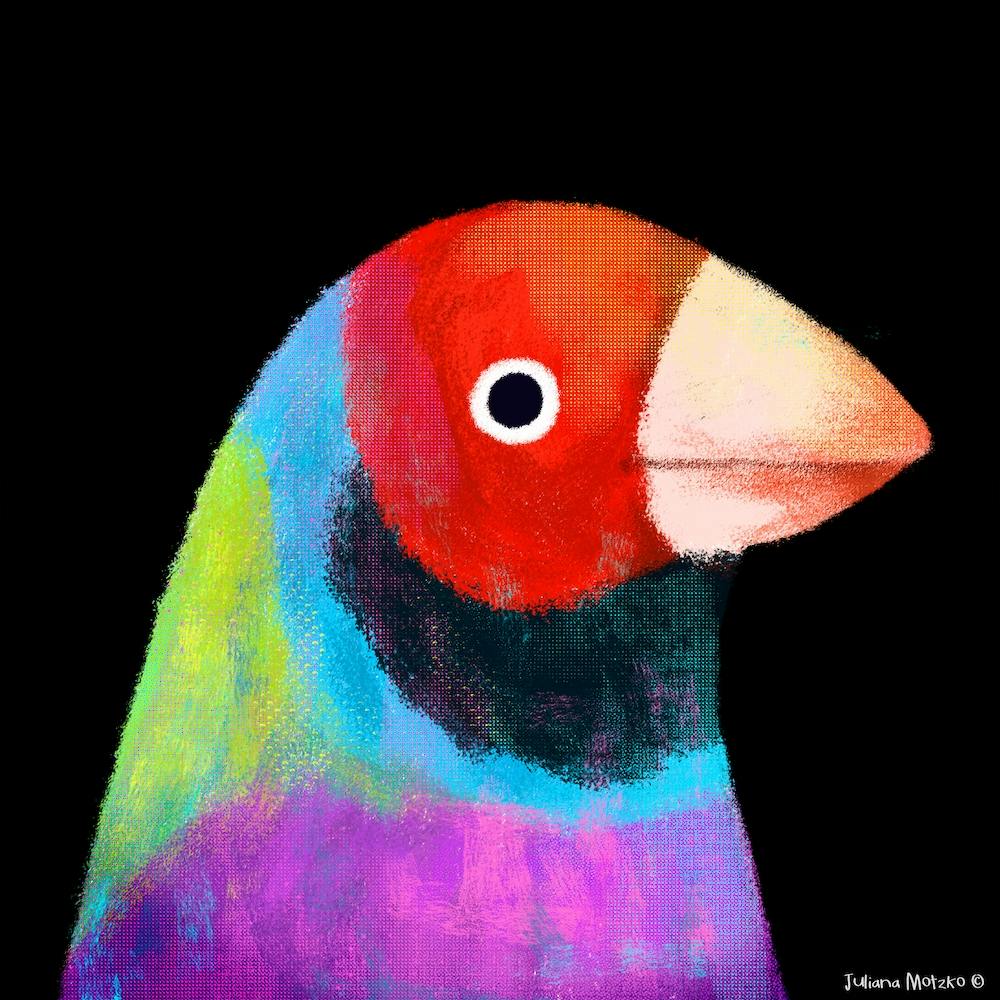 Gouldian Finch Square