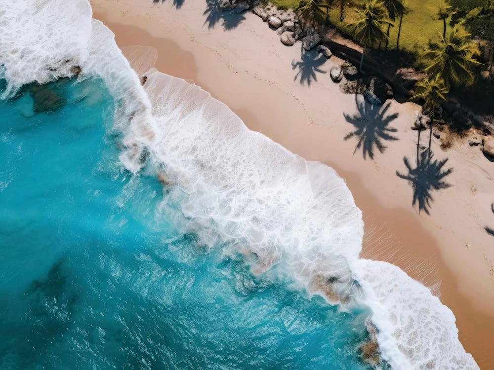 Aerial View Of A Tropical Beach 8