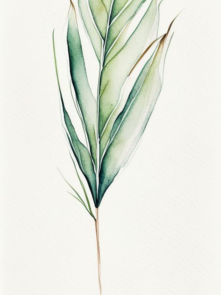 Yucca Leaf Minimalist Watercolour 4