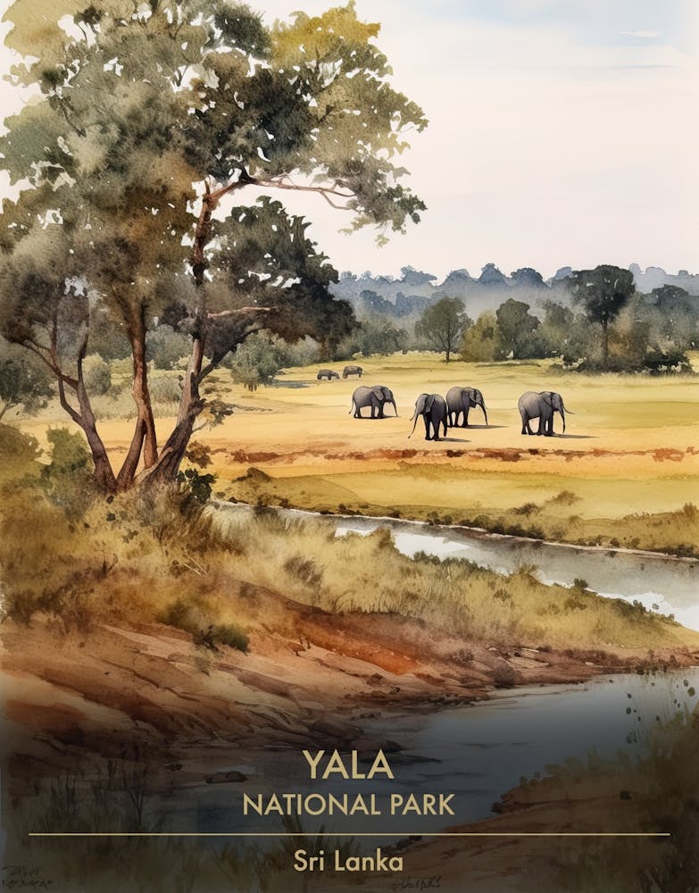 Yala National Park Sri Lanka Watercolour 1