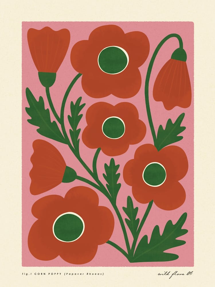 Corn Poppy Modern-Retro Pink and Green Wild Flower