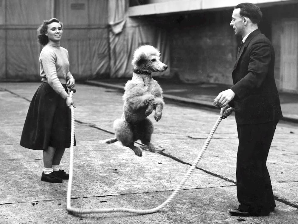 Dog Jumping Rope, Funny Black and White Vintage Photo