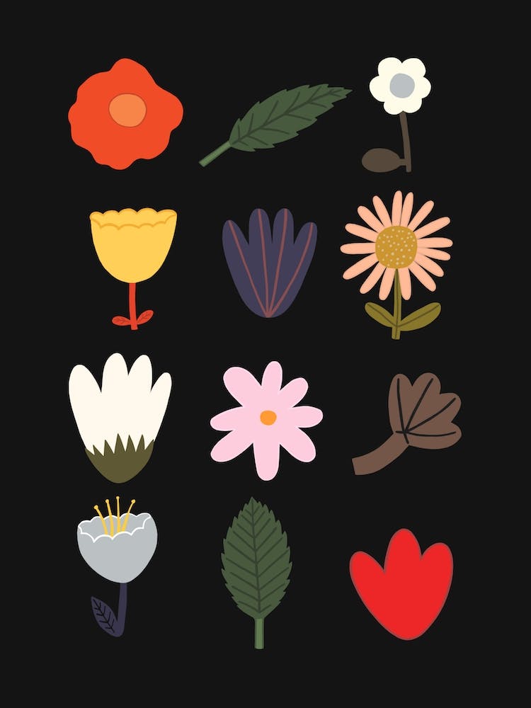 Flowers In Black