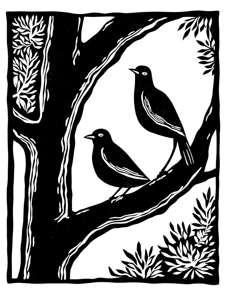 Birds In A Tree