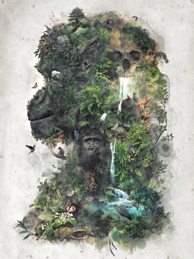 Surreal Gorilla