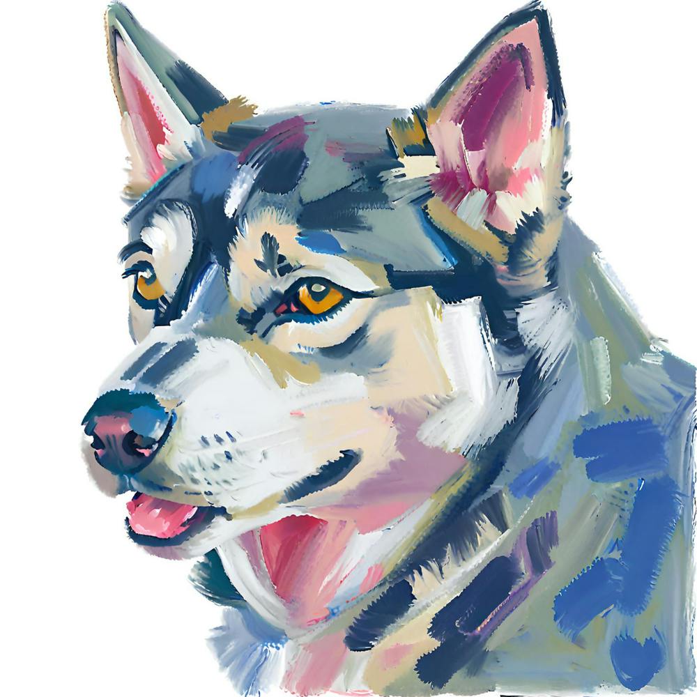 Siberian Husky 01