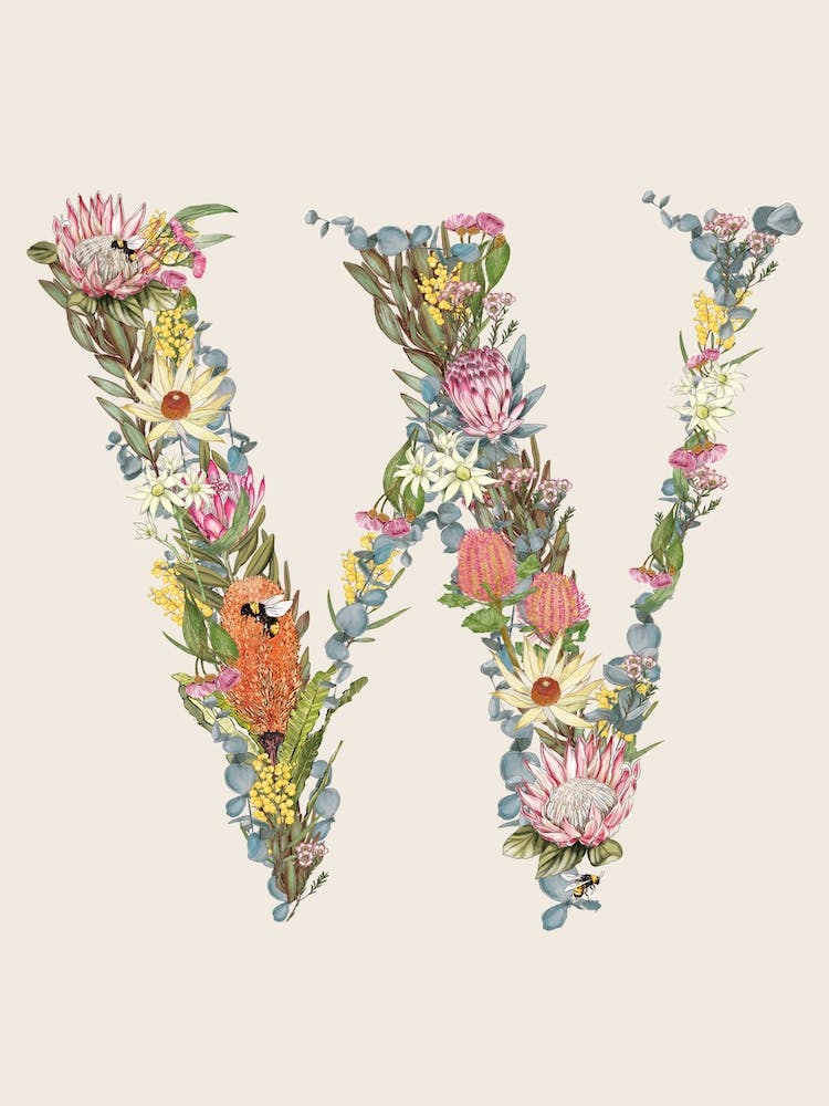 W Oat Alphabet Letter