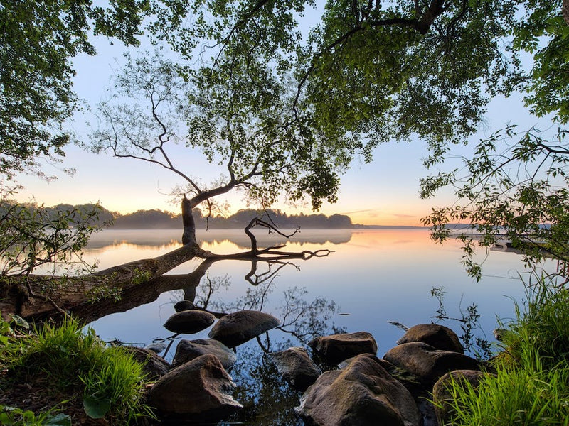 Lake View