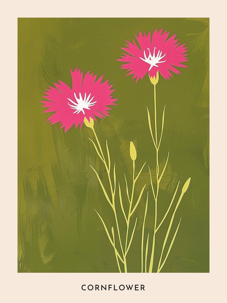 Pink & Green Cornflower 1 Flower Poster