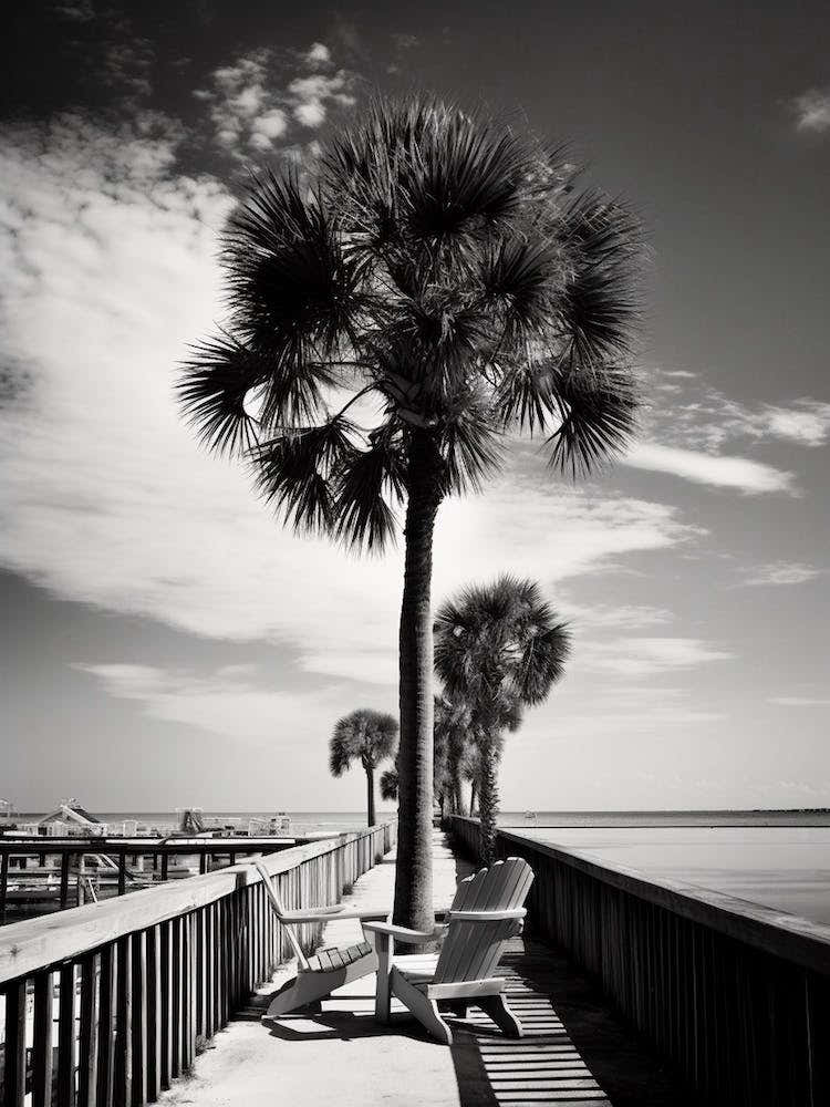 Florida, Black And White Analogue Photograph 3