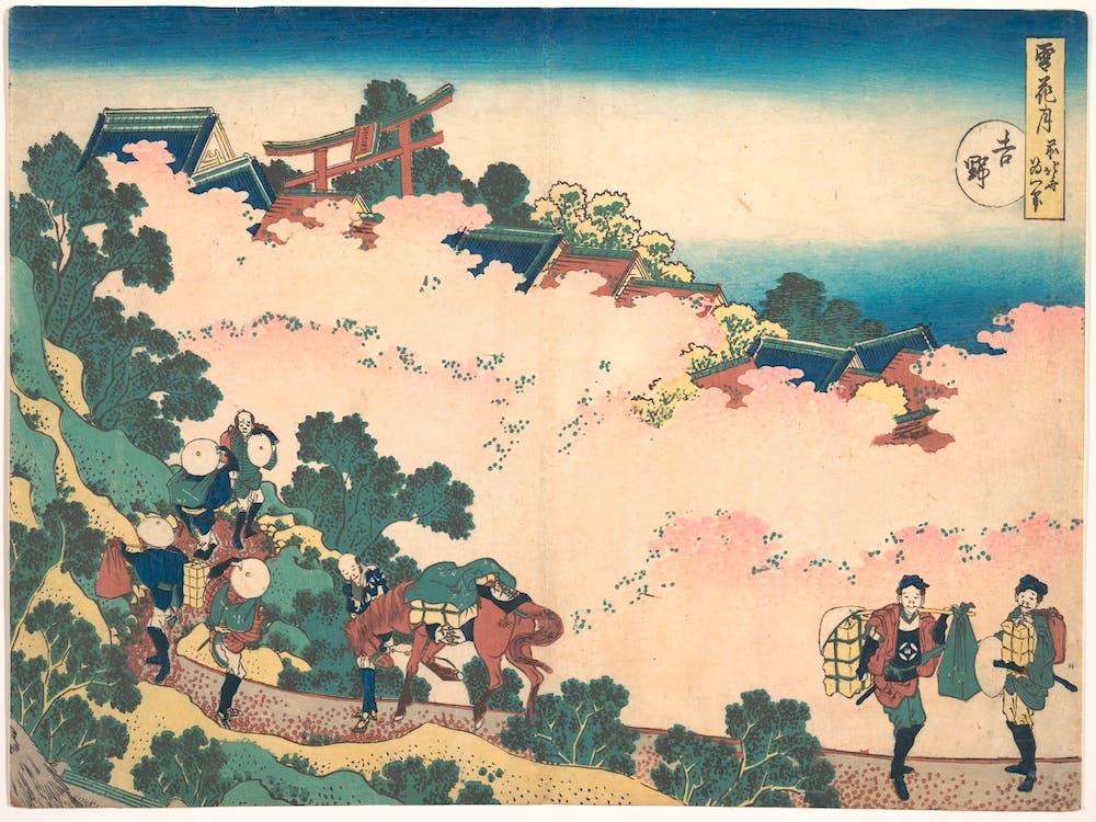 Fleurs de Cerisier à Yoshino (Yoshino), Katsushika Hokusai