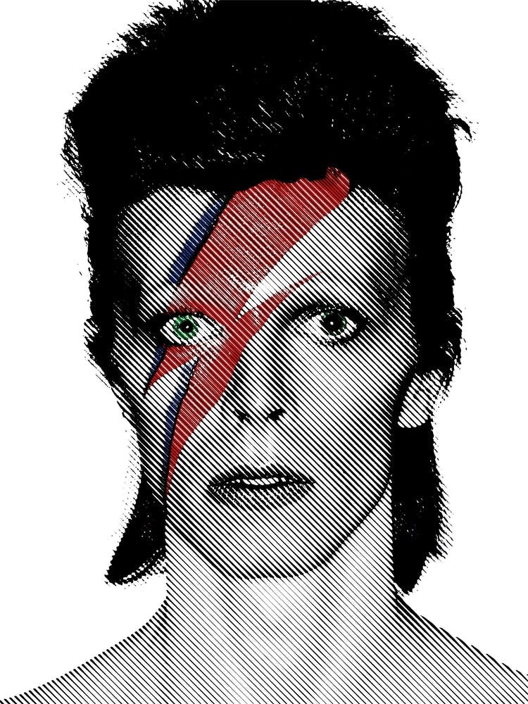David Bowie Line Illustration my style