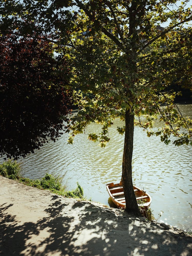 Down the stream, Valladolid, Spain