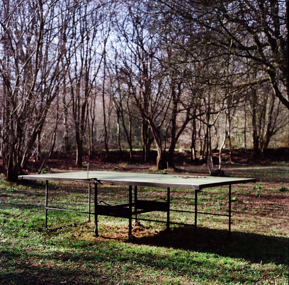 Ping Pong